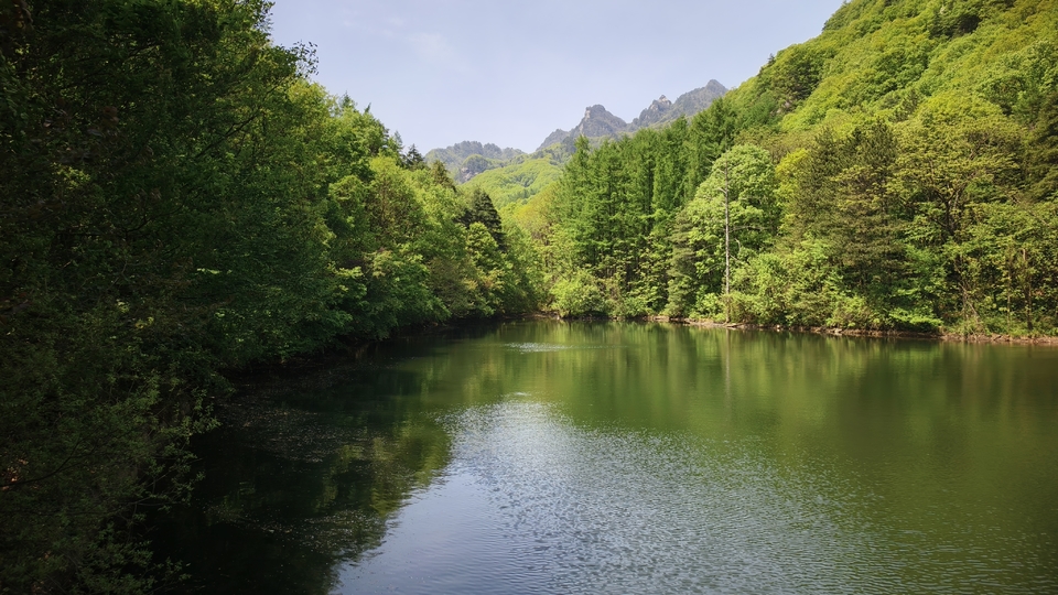 微信图片_20250506154620