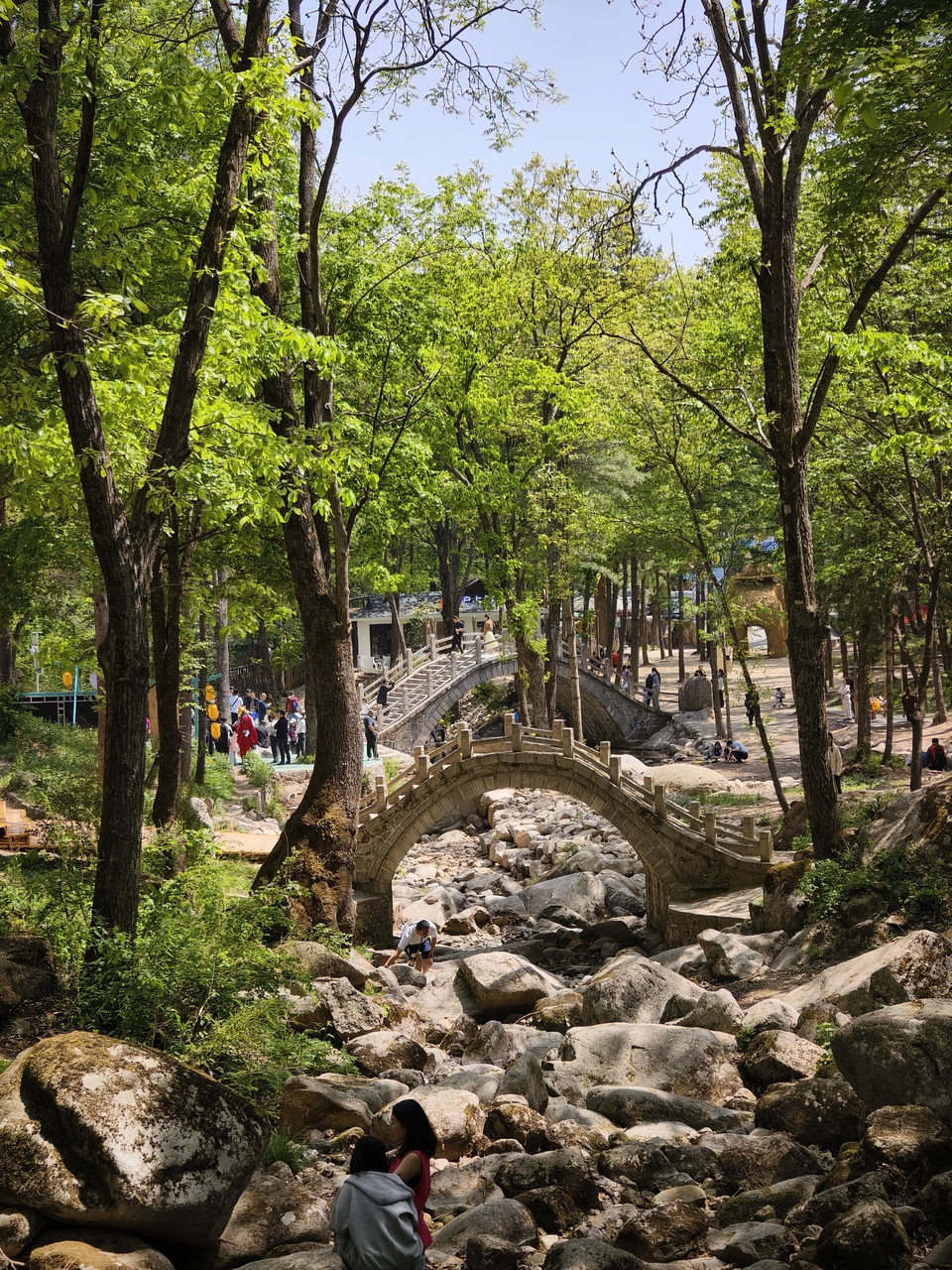 微信图片_20250506154632