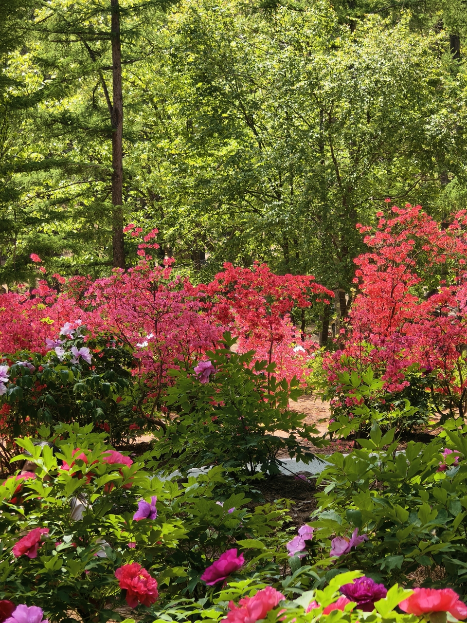 微信图片_20250506154650