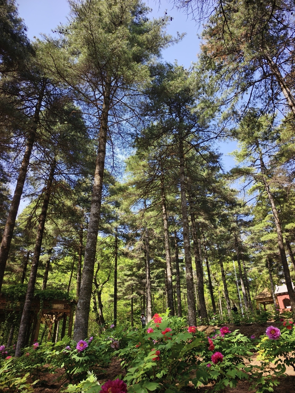 微信图片_20250506154655