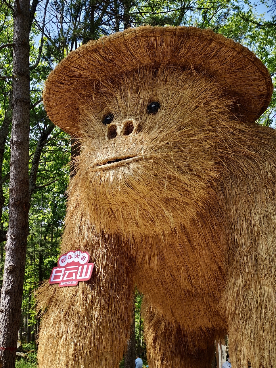 微信图片_20250506154703