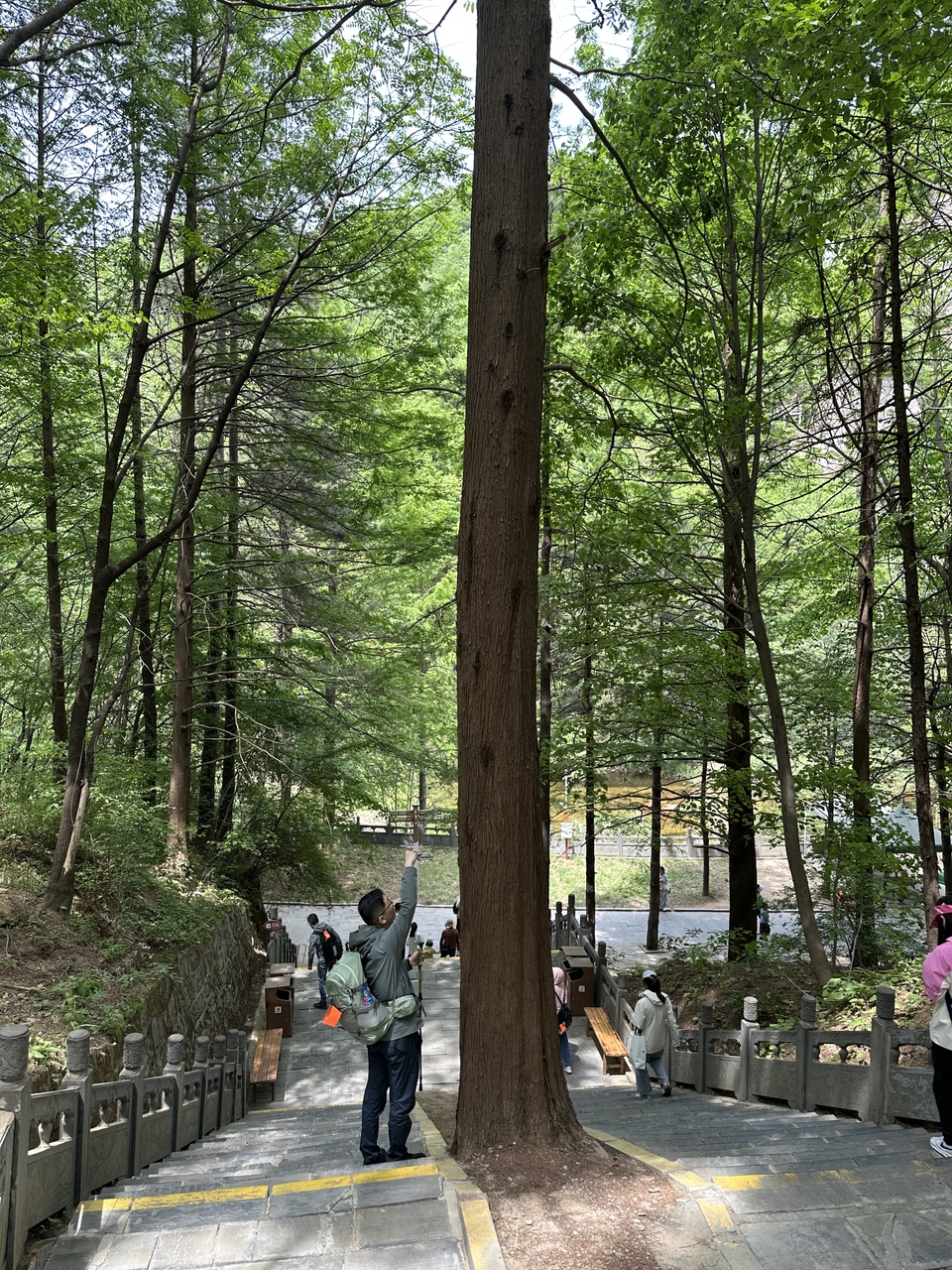 微信图片_20250506154836