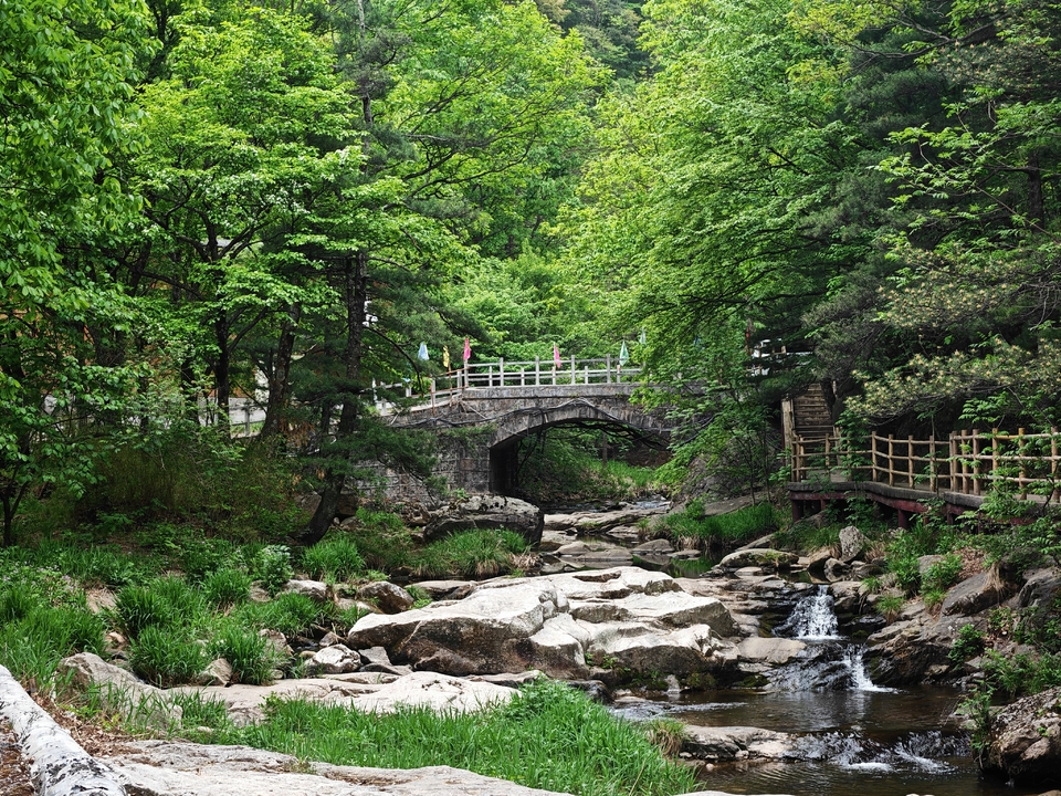 微信图片_20250506154928