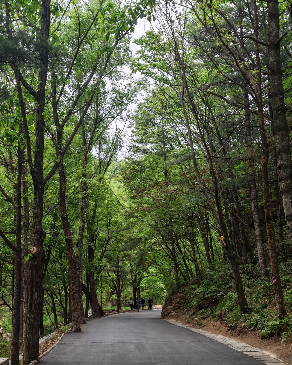 微信图片_20250506154944