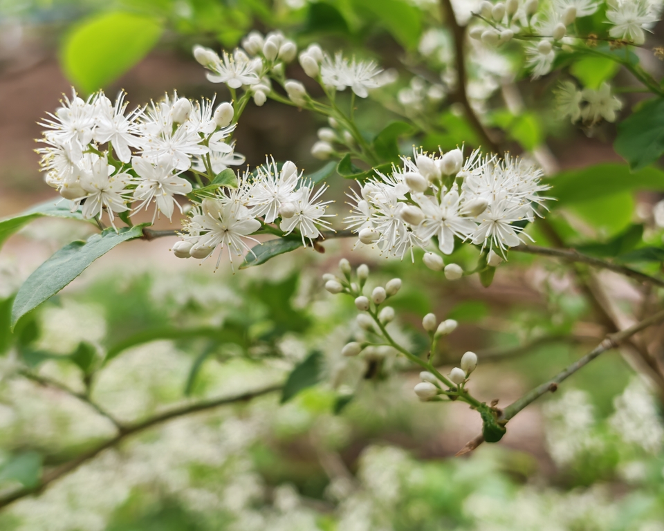 微信图片_20250506155027