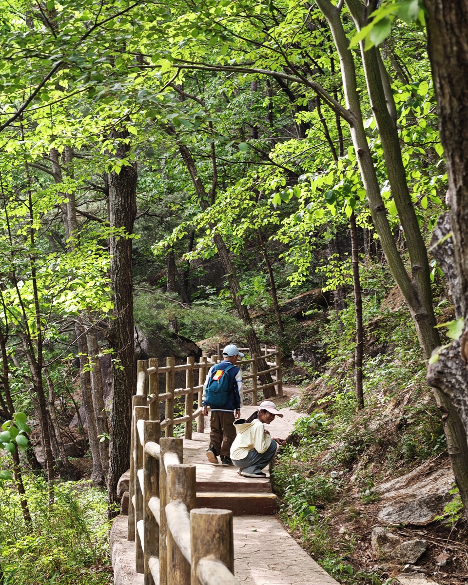 微信图片_20250506155039