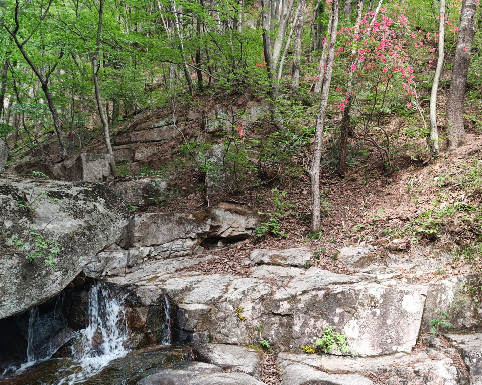 微信图片_20250506155126