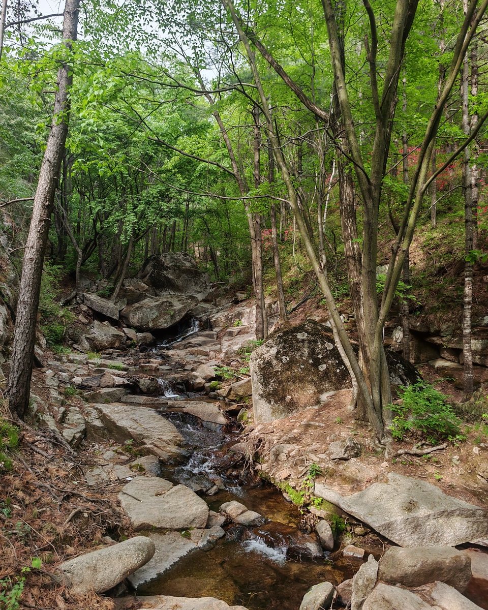 微信图片_20250506155129