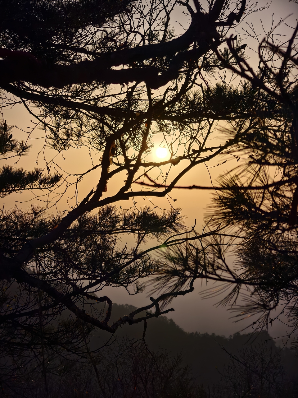 微信图片_20250506155139