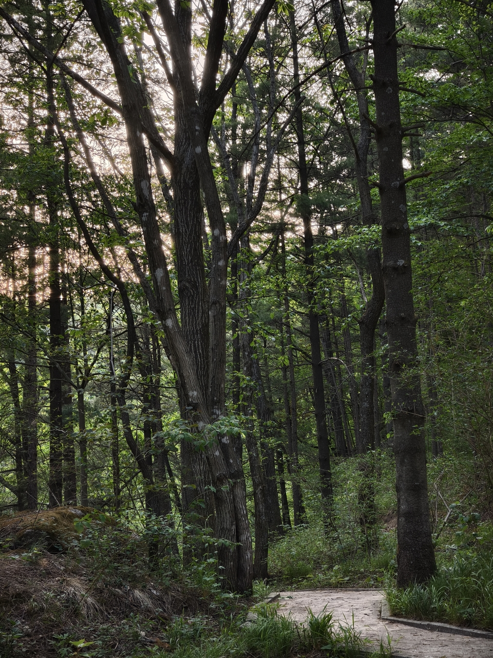 微信图片_20250506155315