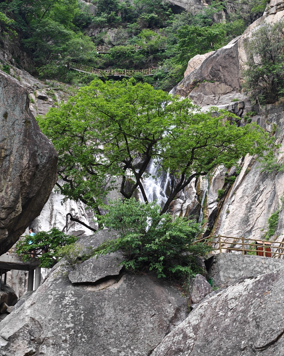 微信图片_20250506155325