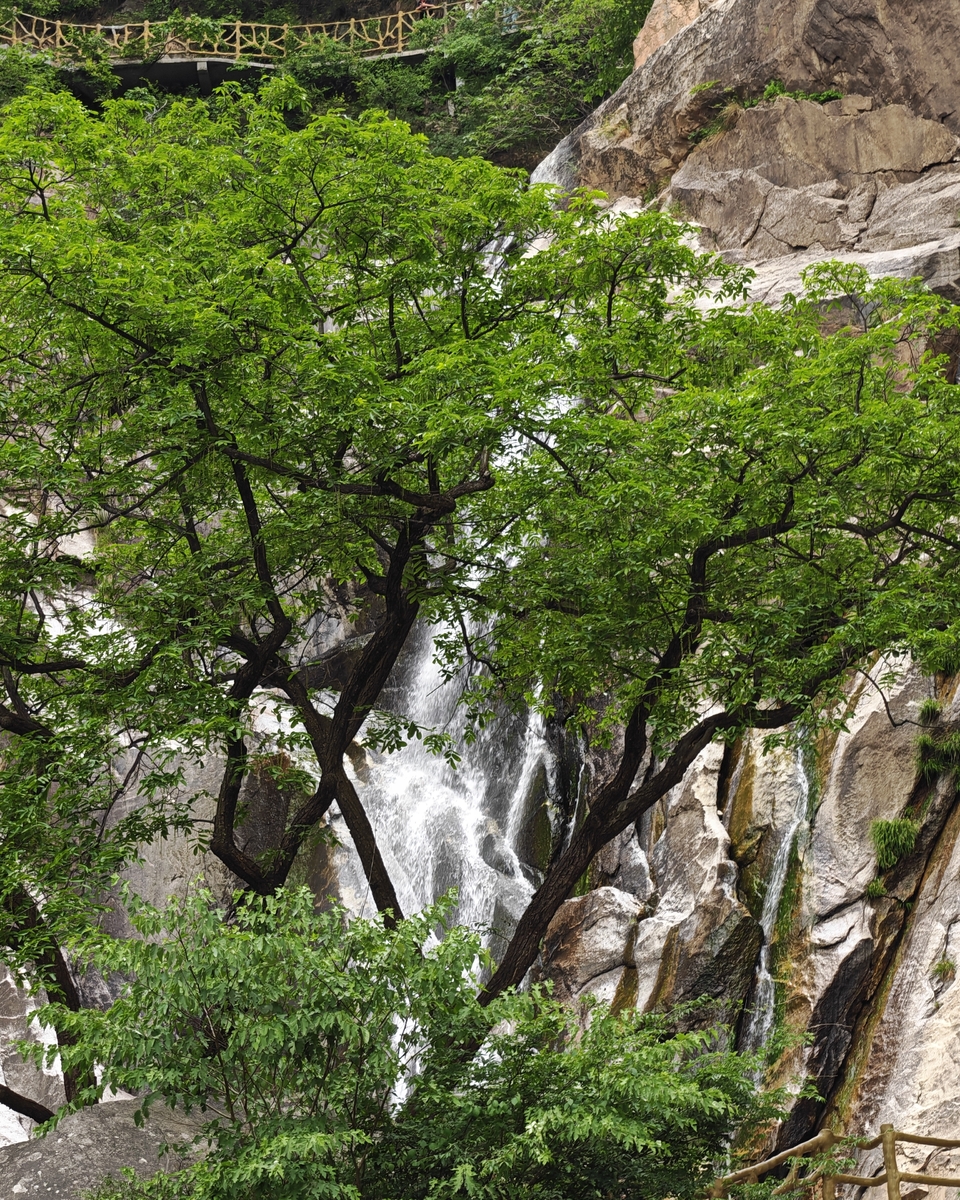 微信图片_20250506155330