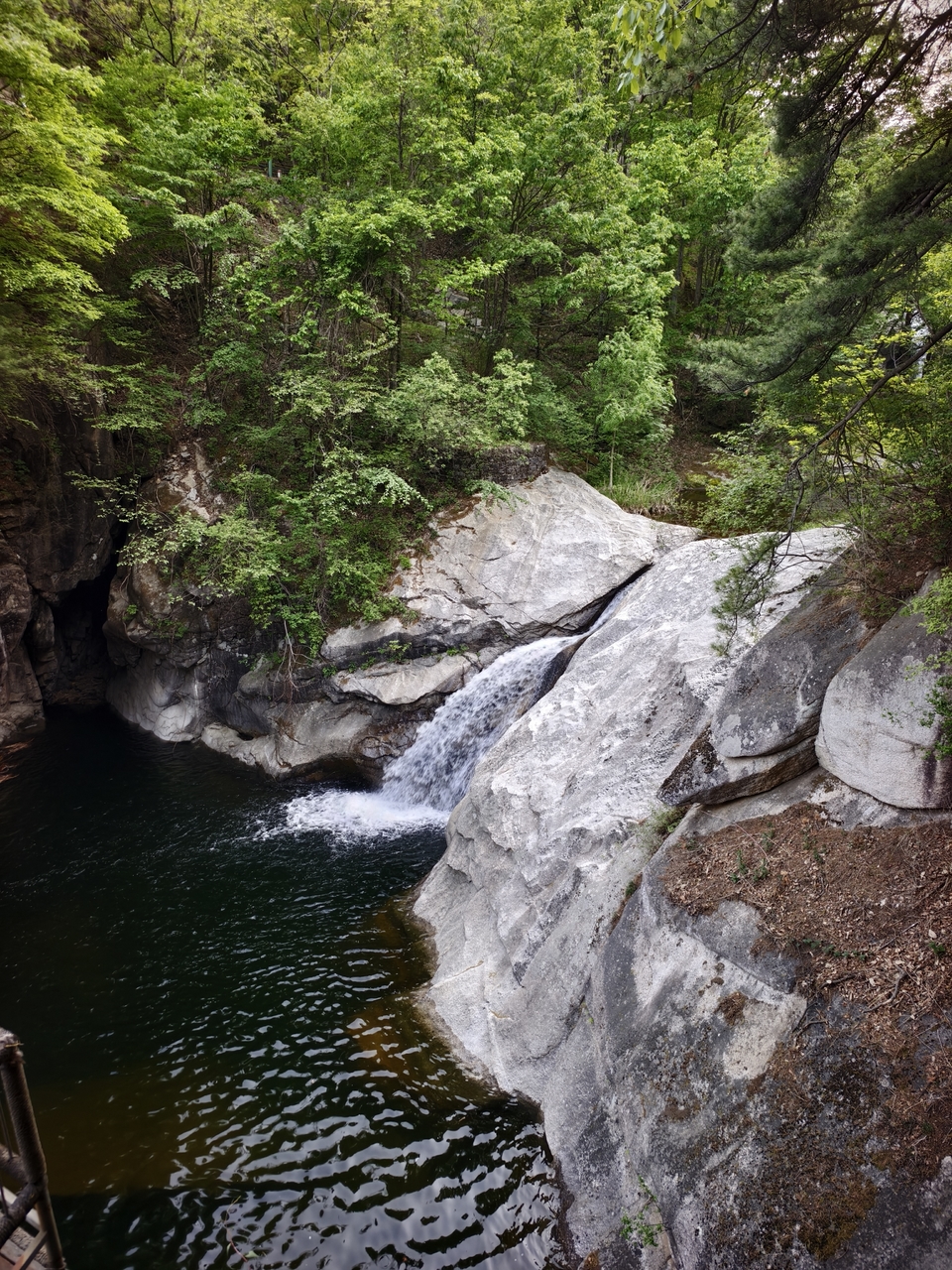 微信图片_20250506155331