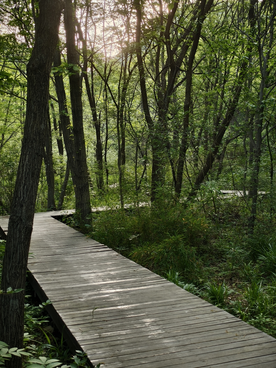 微信图片_20250506155348