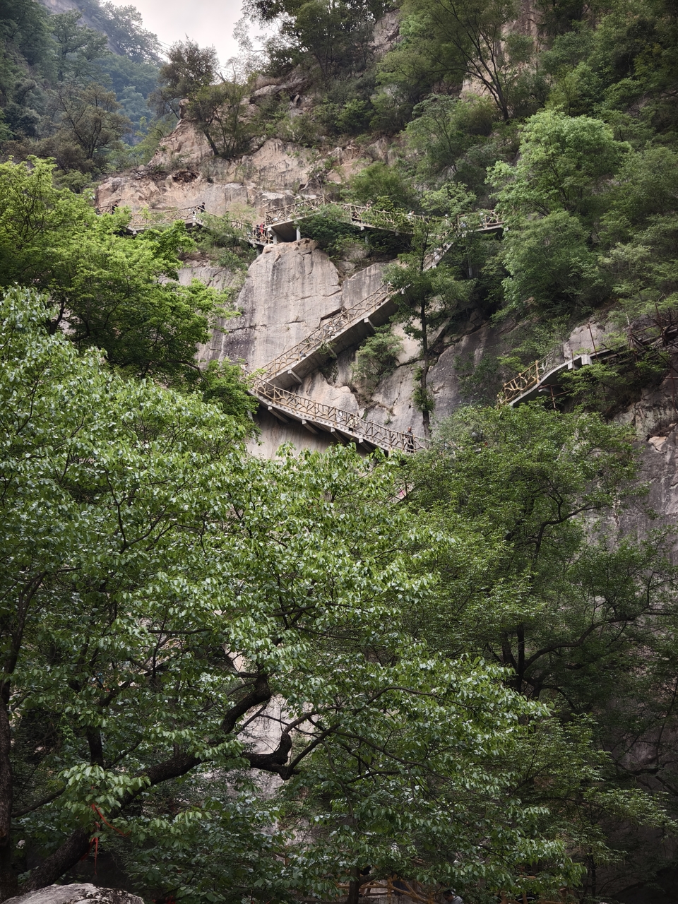 微信图片_20250506155428