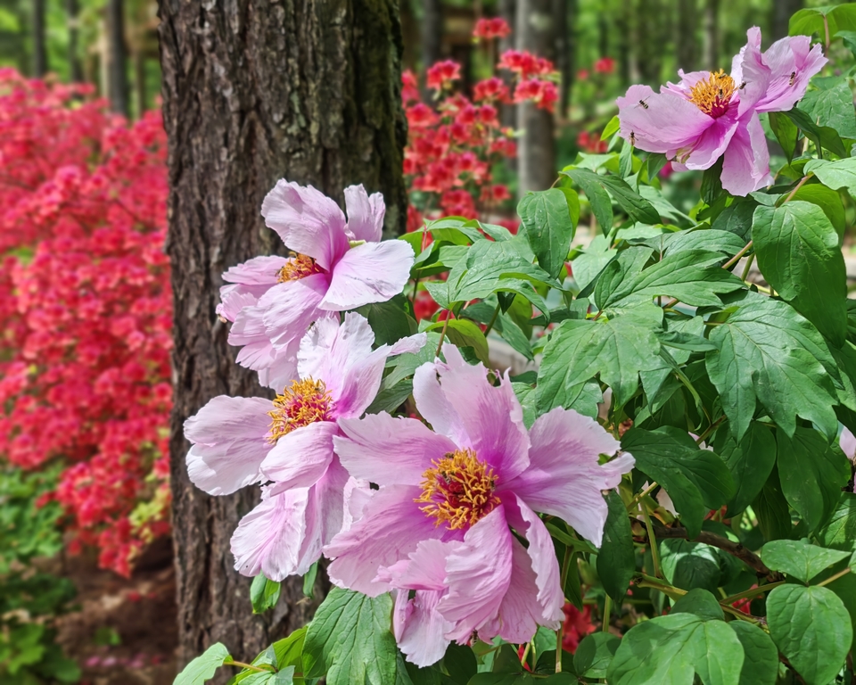 微信图片_202505051205521