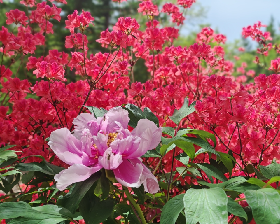 微信图片_202505051206011