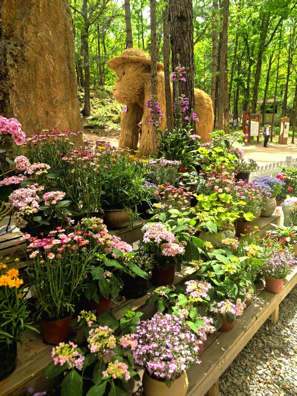 微信图片_202505061533371