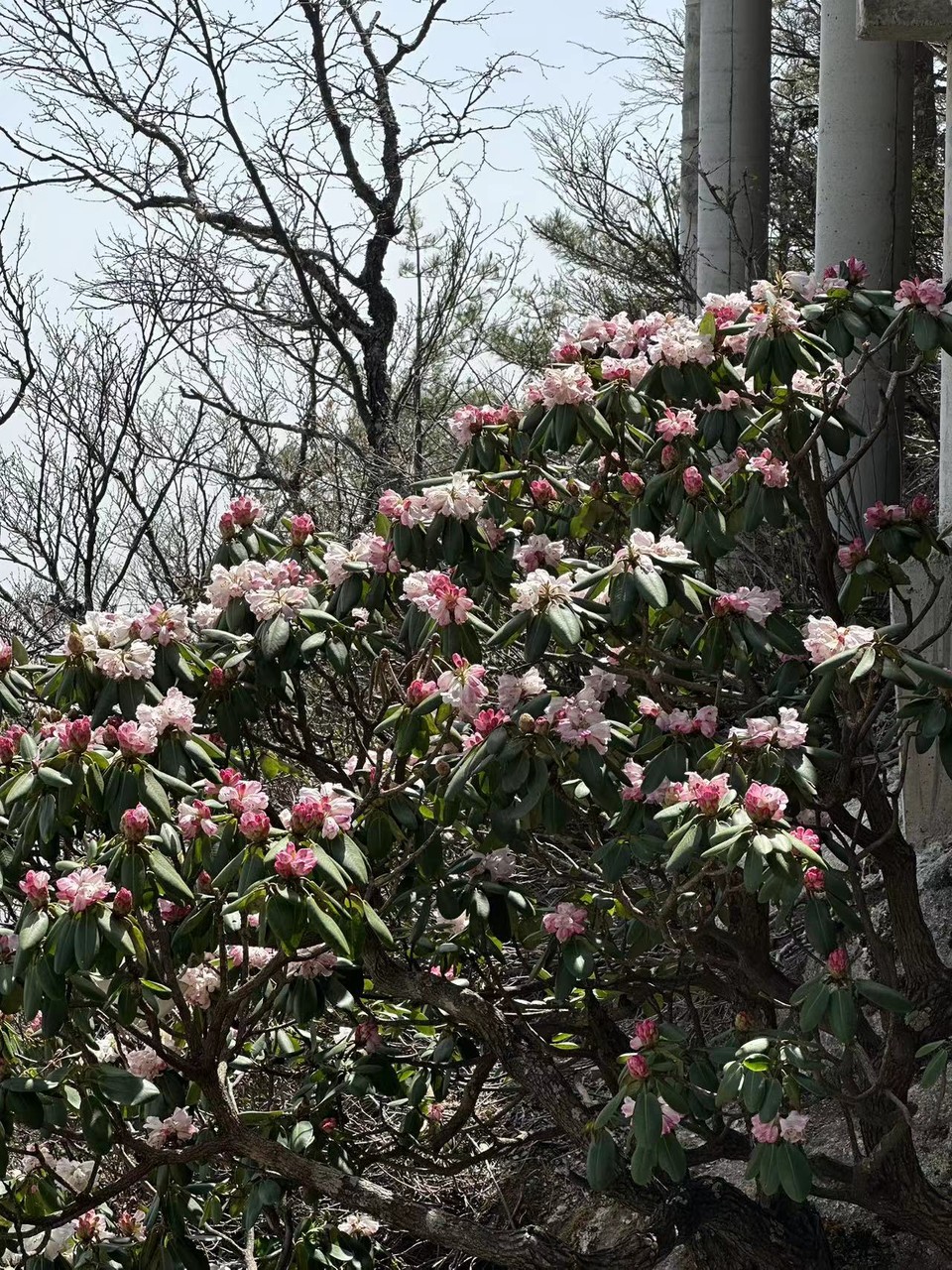 微信图片_202505061533392