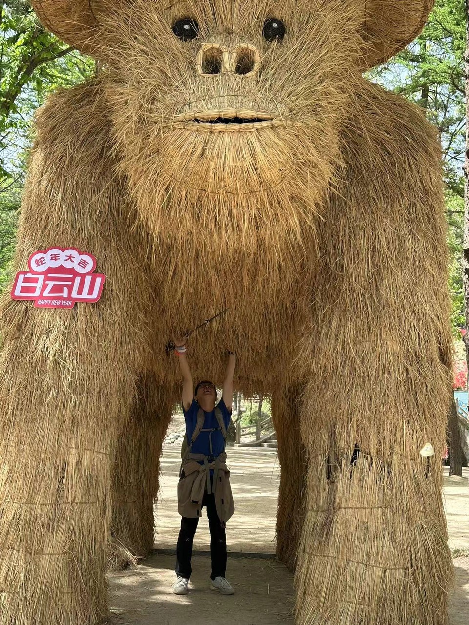 微信图片_202505061533411