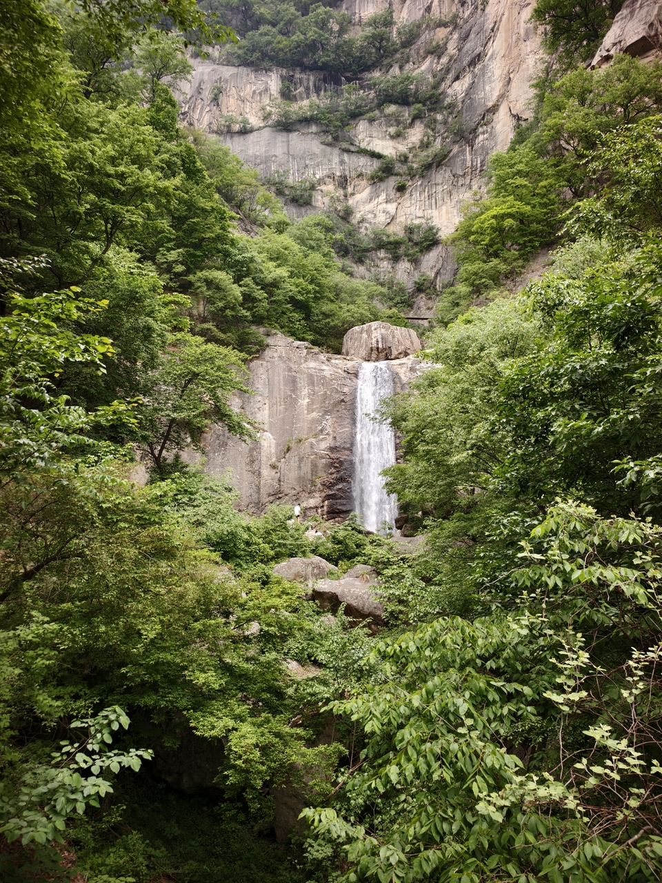 微信图片_202505061543121