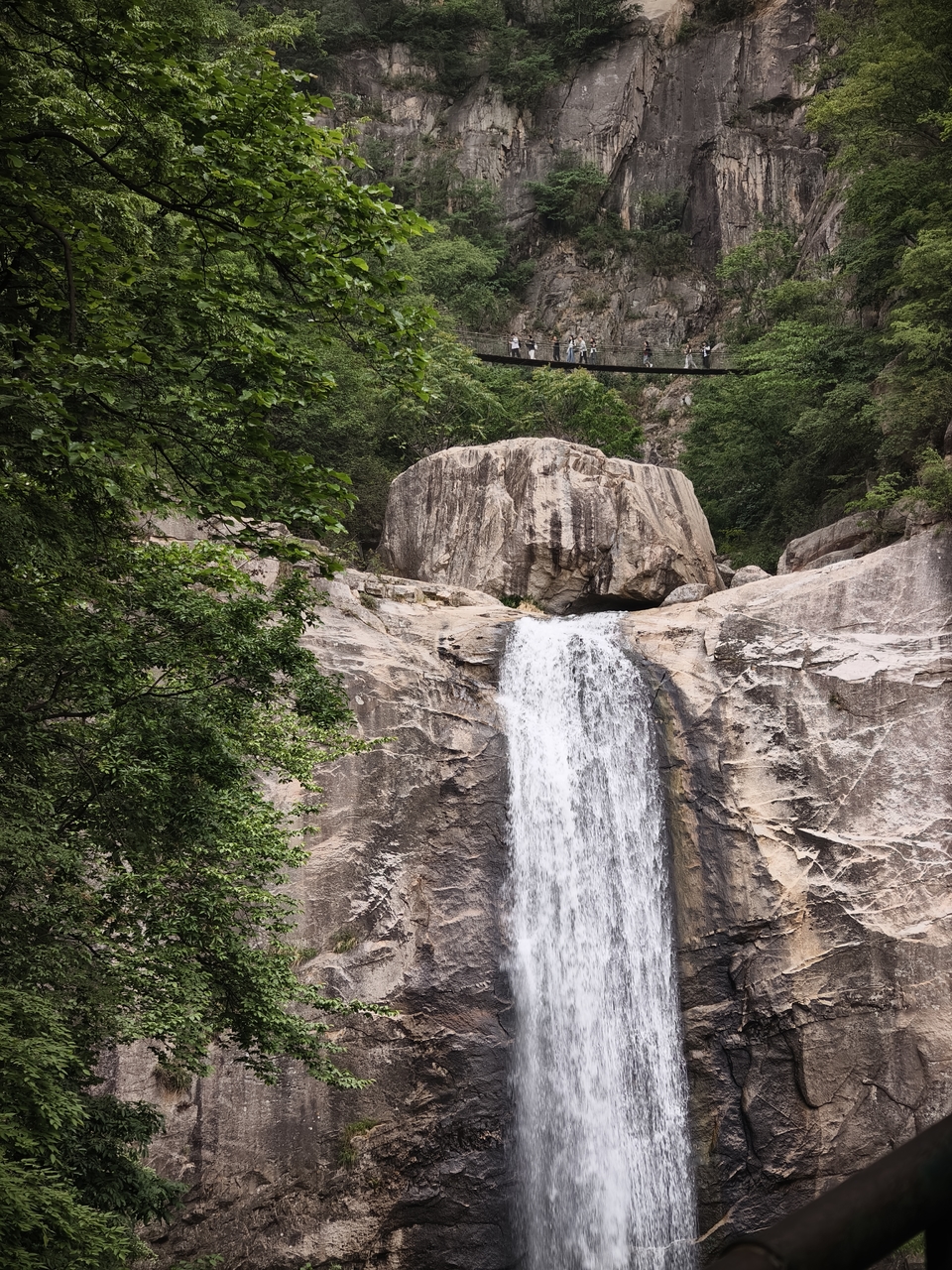 微信图片_202505061543453