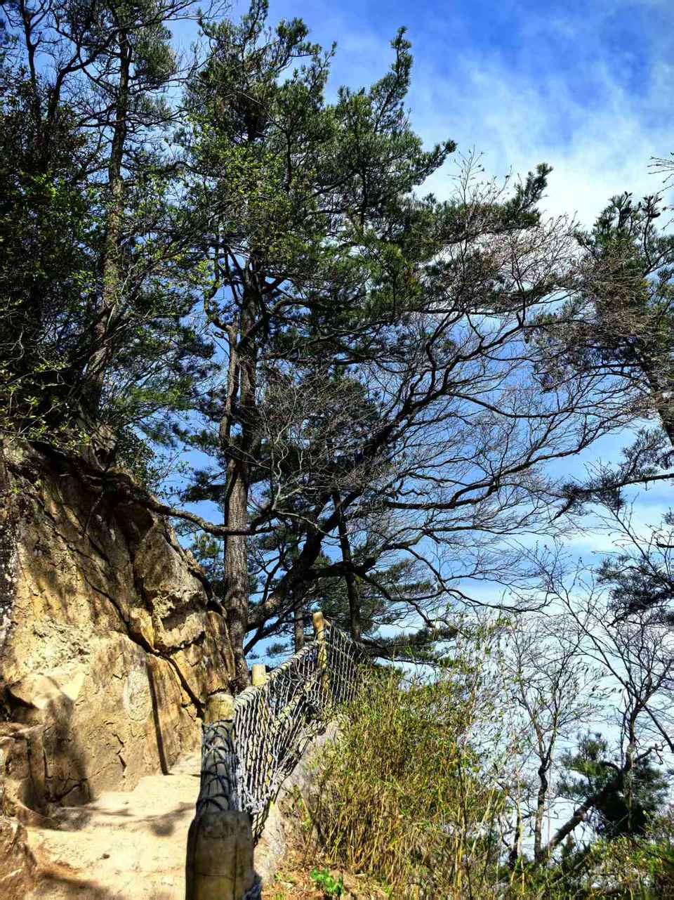 微信图片_202505061543471