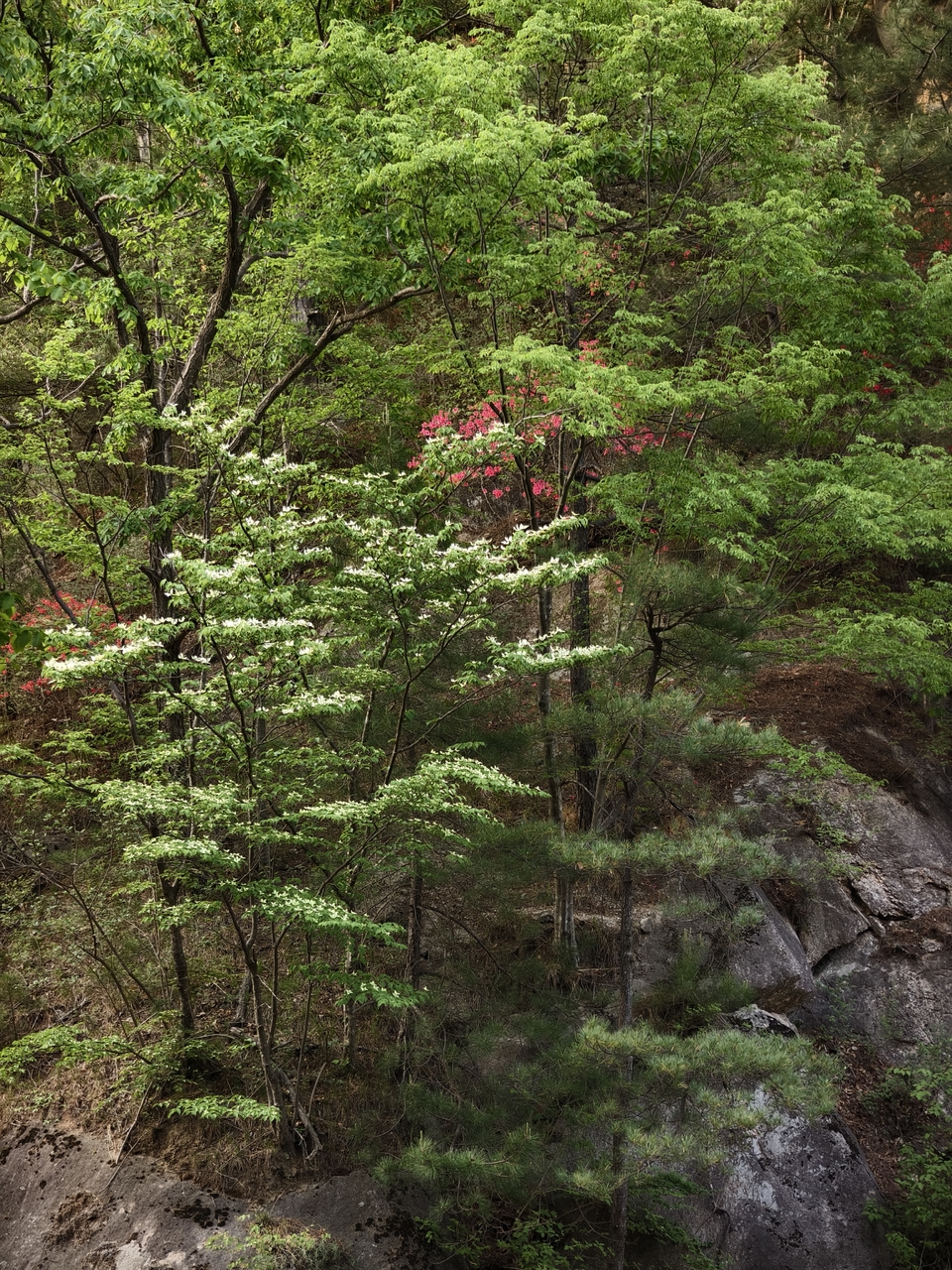 微信图片_202505061551191