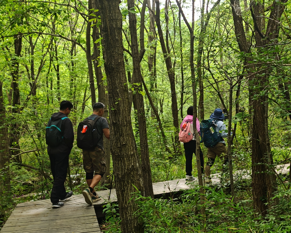 微信图片_202505061552101