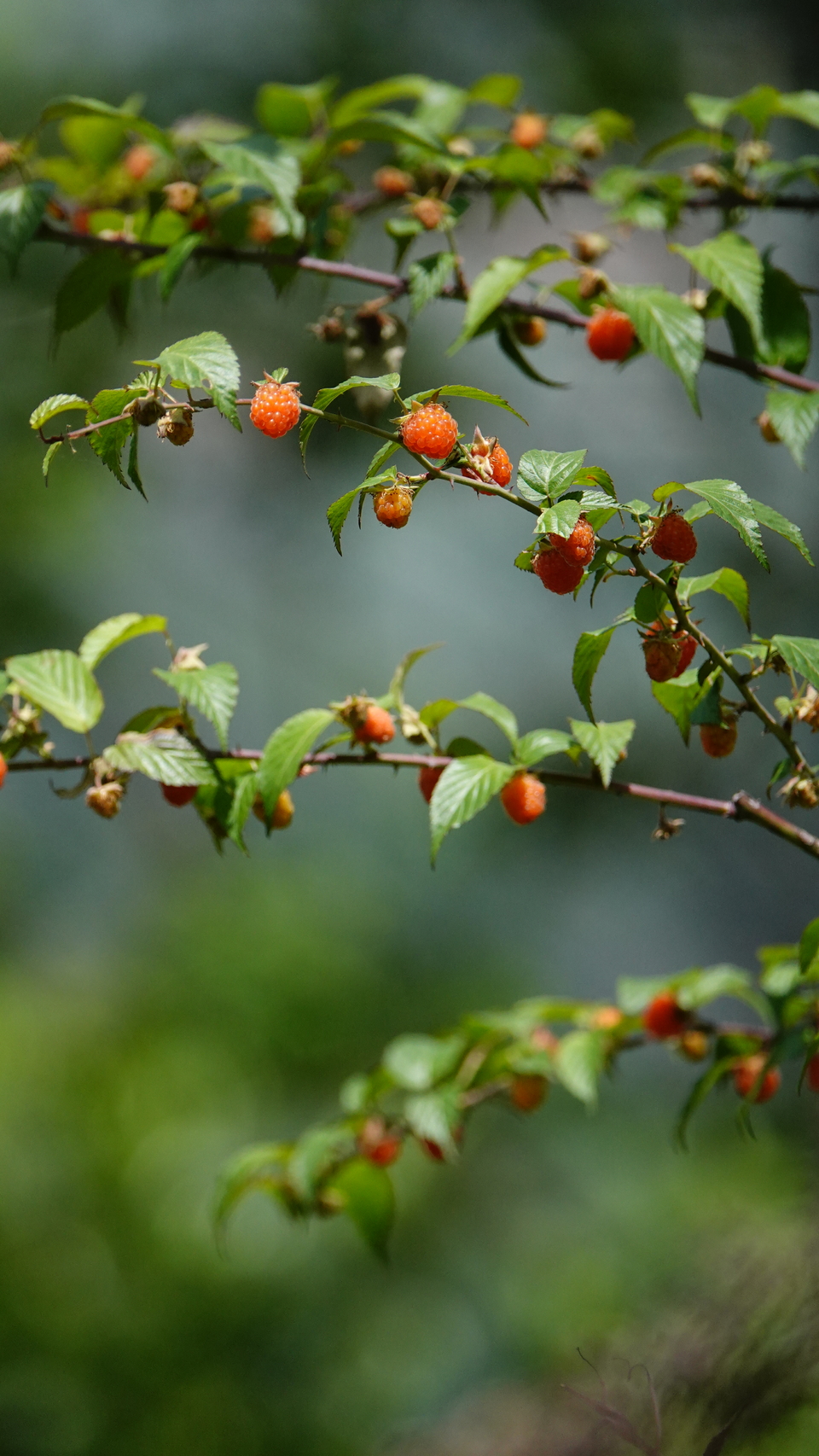 微信图片_20250502164024