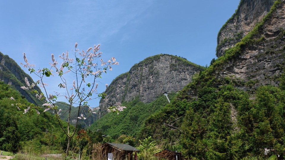 微信图片_20250505171202