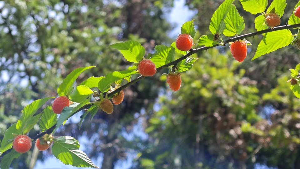 微信图片_20250506175602