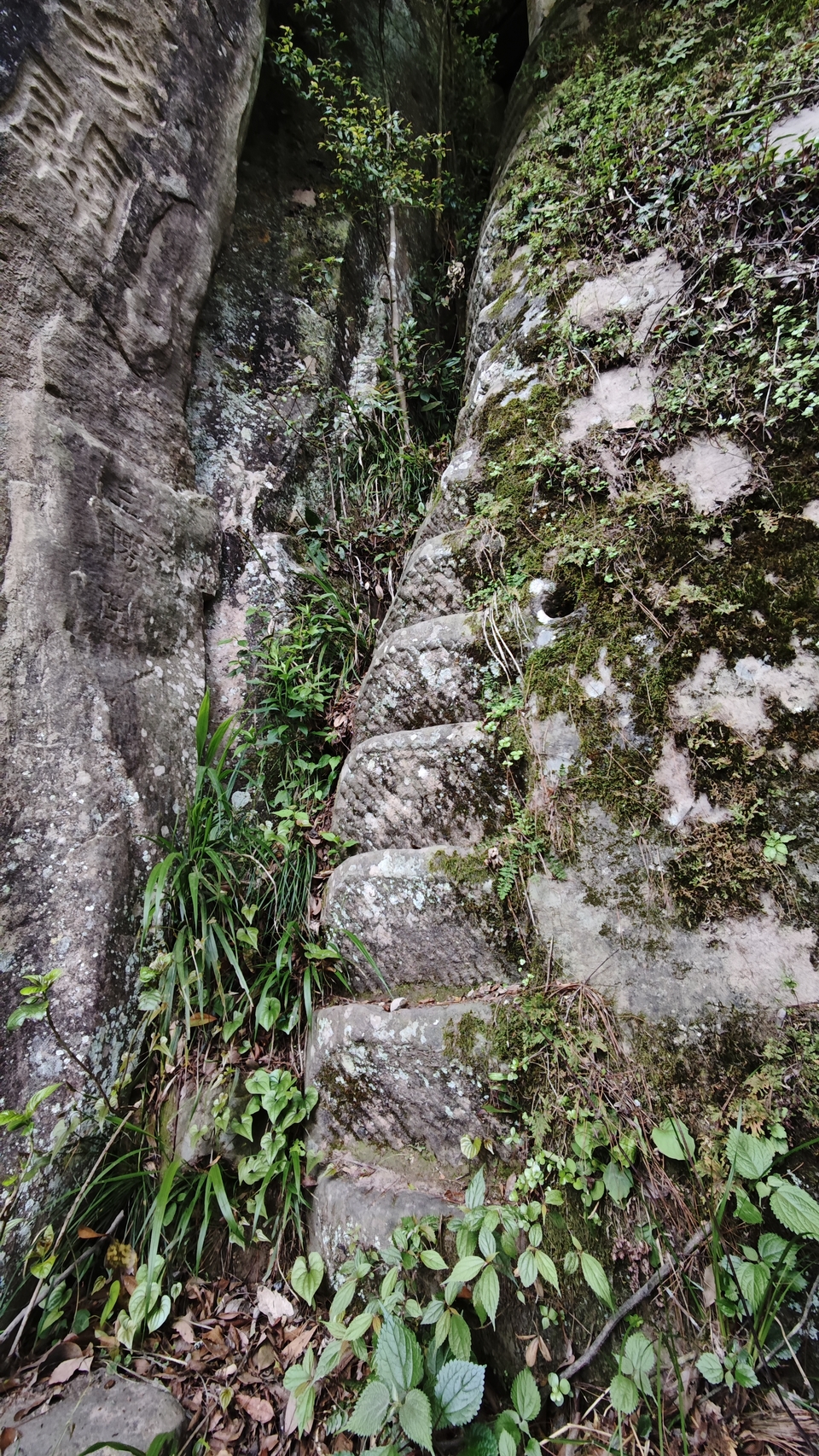 微信图片_20250506175614