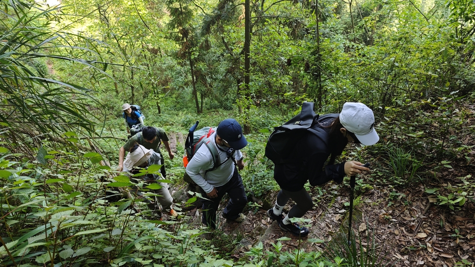 微信图片_20250506175625