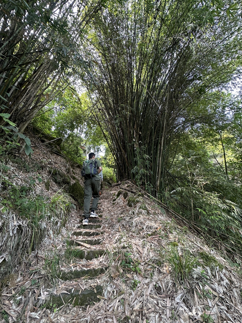 微信图片_20250506175705