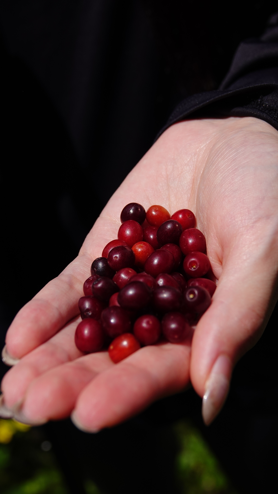 微信图片_20250506175729