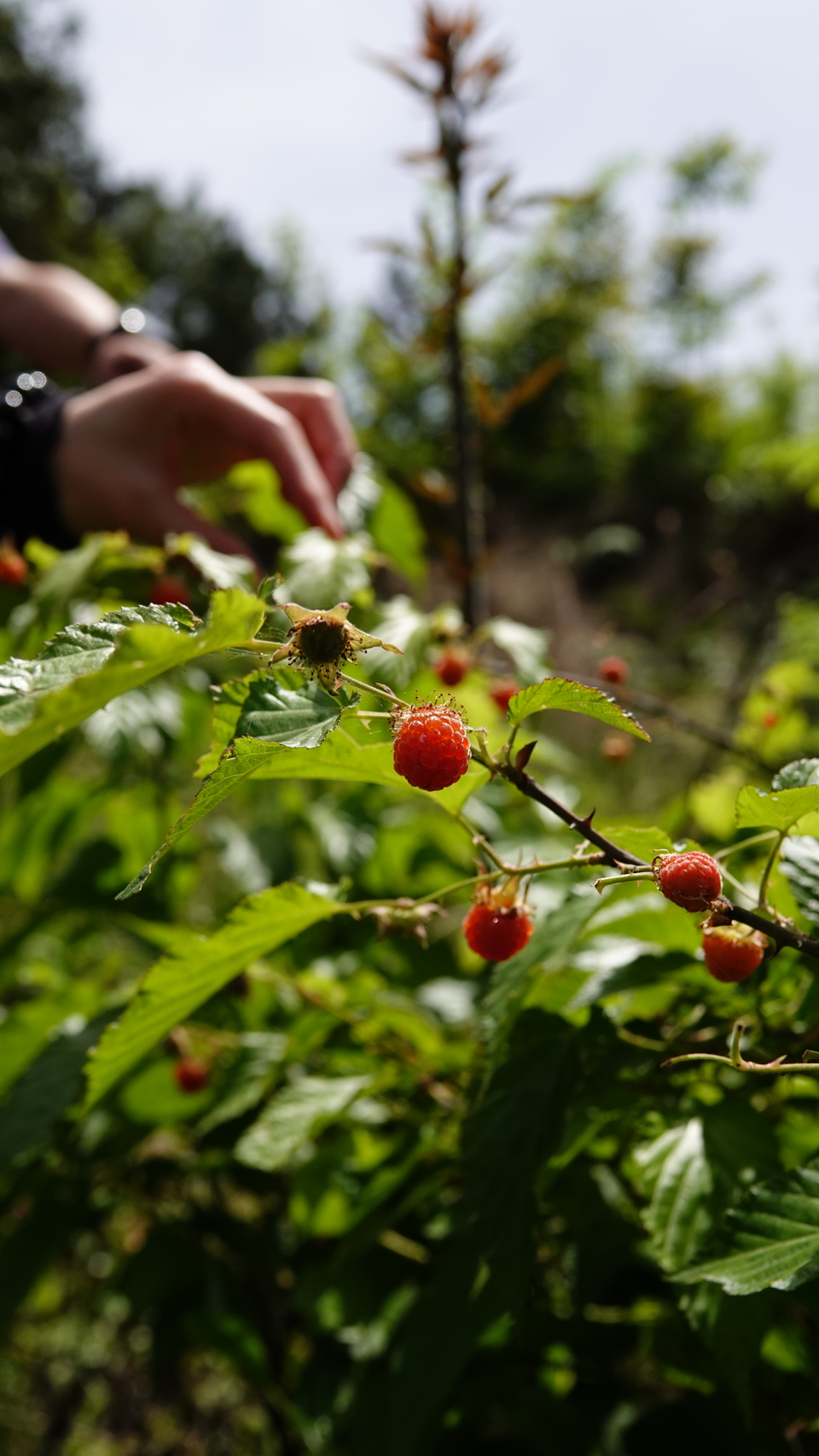 微信图片_20250506175736