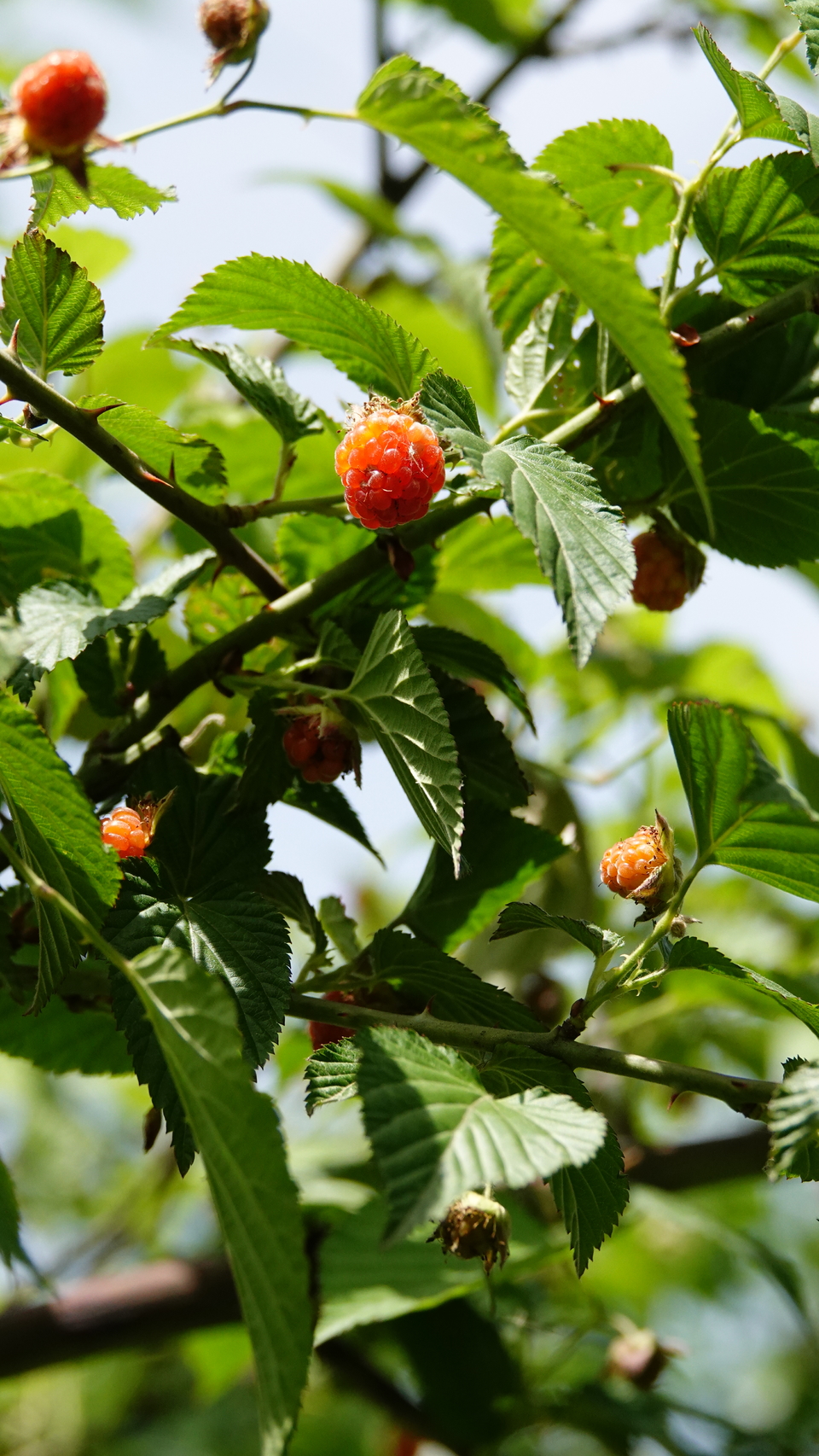 微信图片_20250506175741