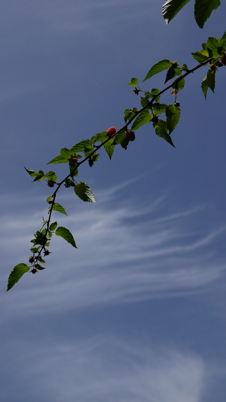 微信图片_20250506175745