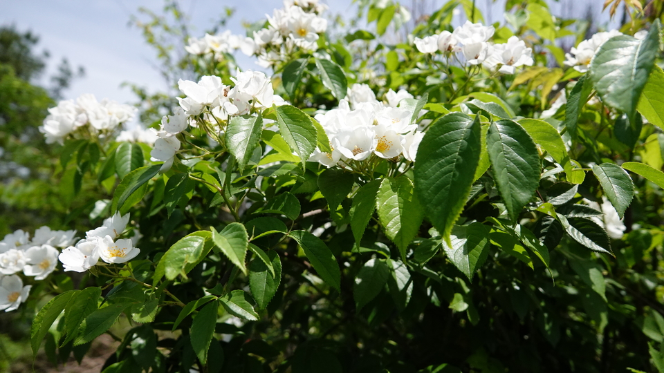 微信图片_20250506175754