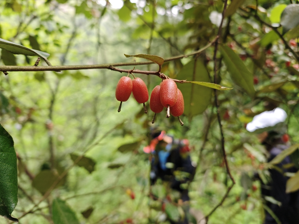 微信图片_20250506175804