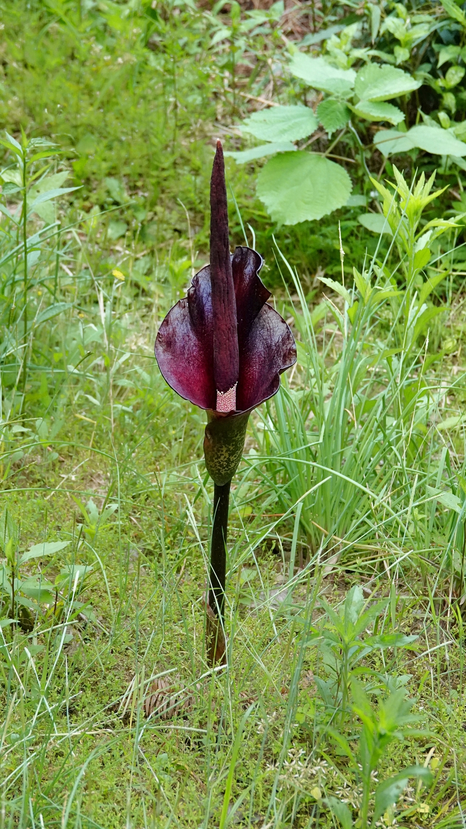 微信图片_20250506175819