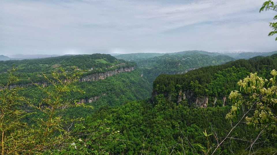 微信图片_20250506175824