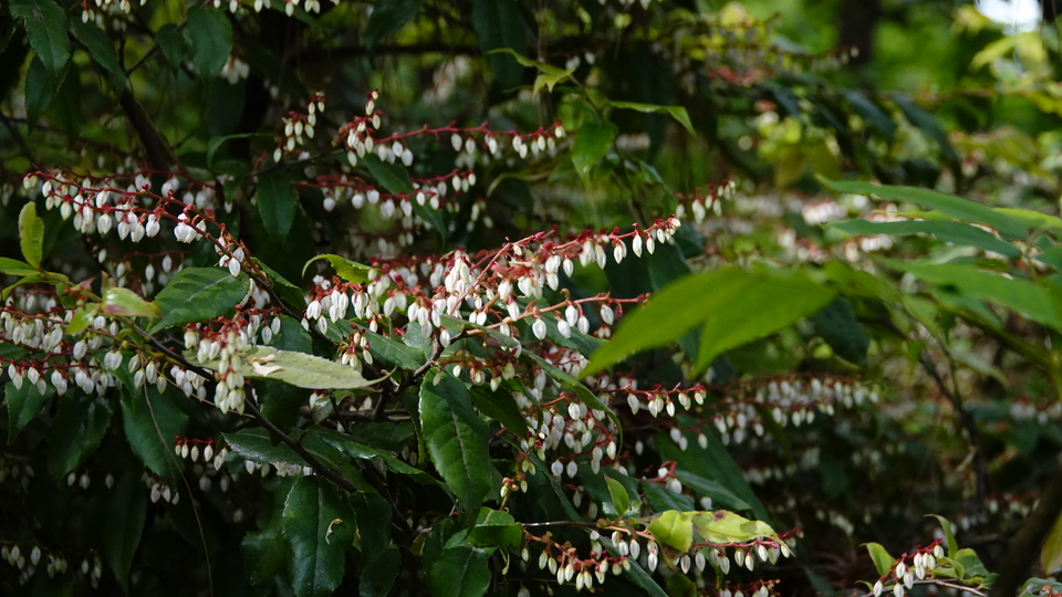 微信图片_20250506175829