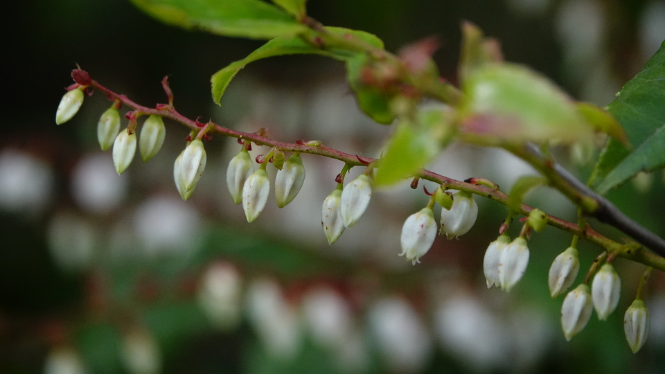 微信图片_20250506175836