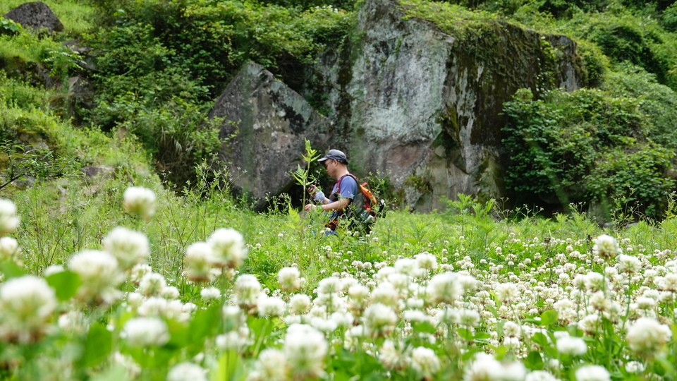 微信图片_20250506175841