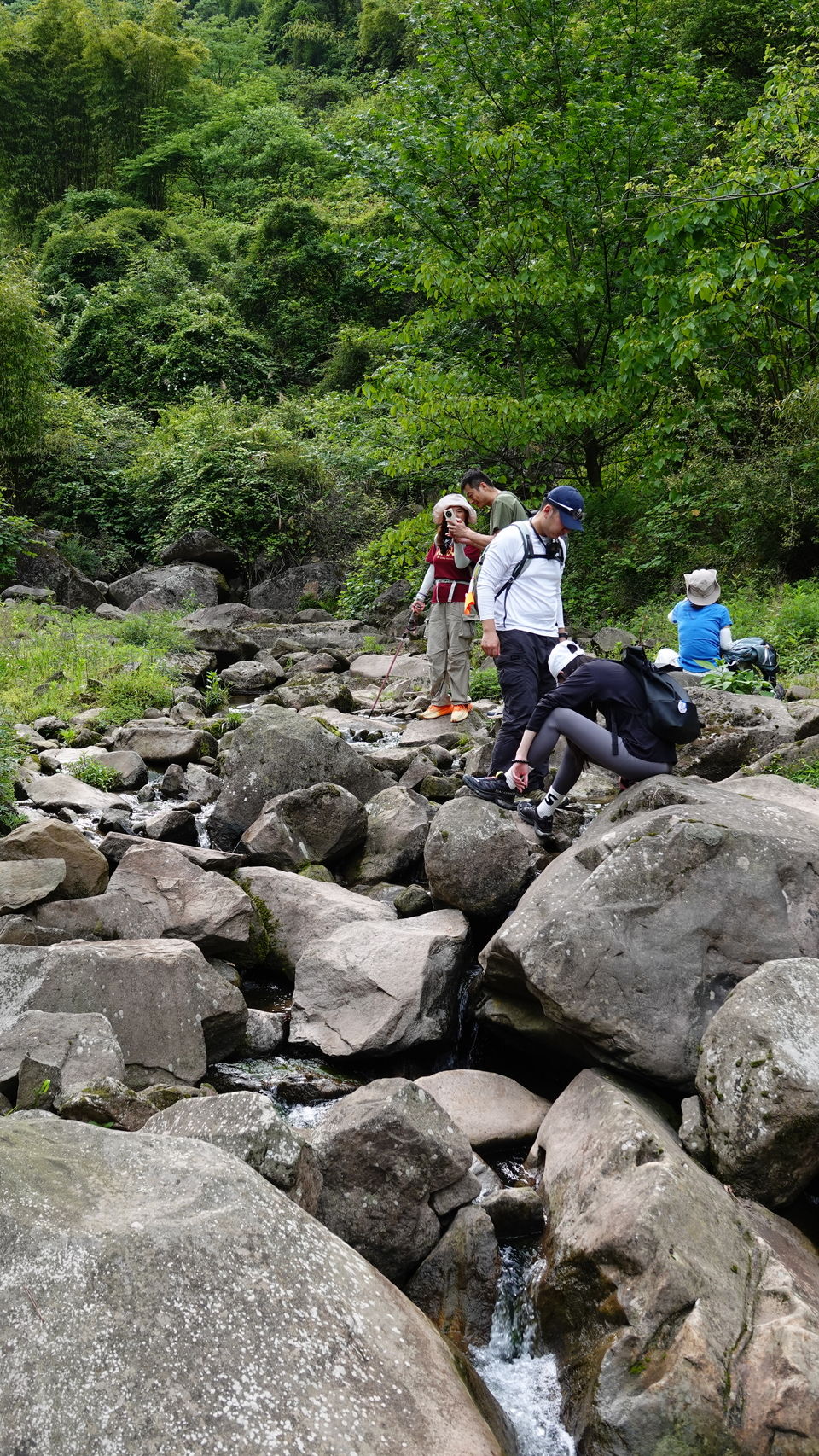 微信图片_20250506175853