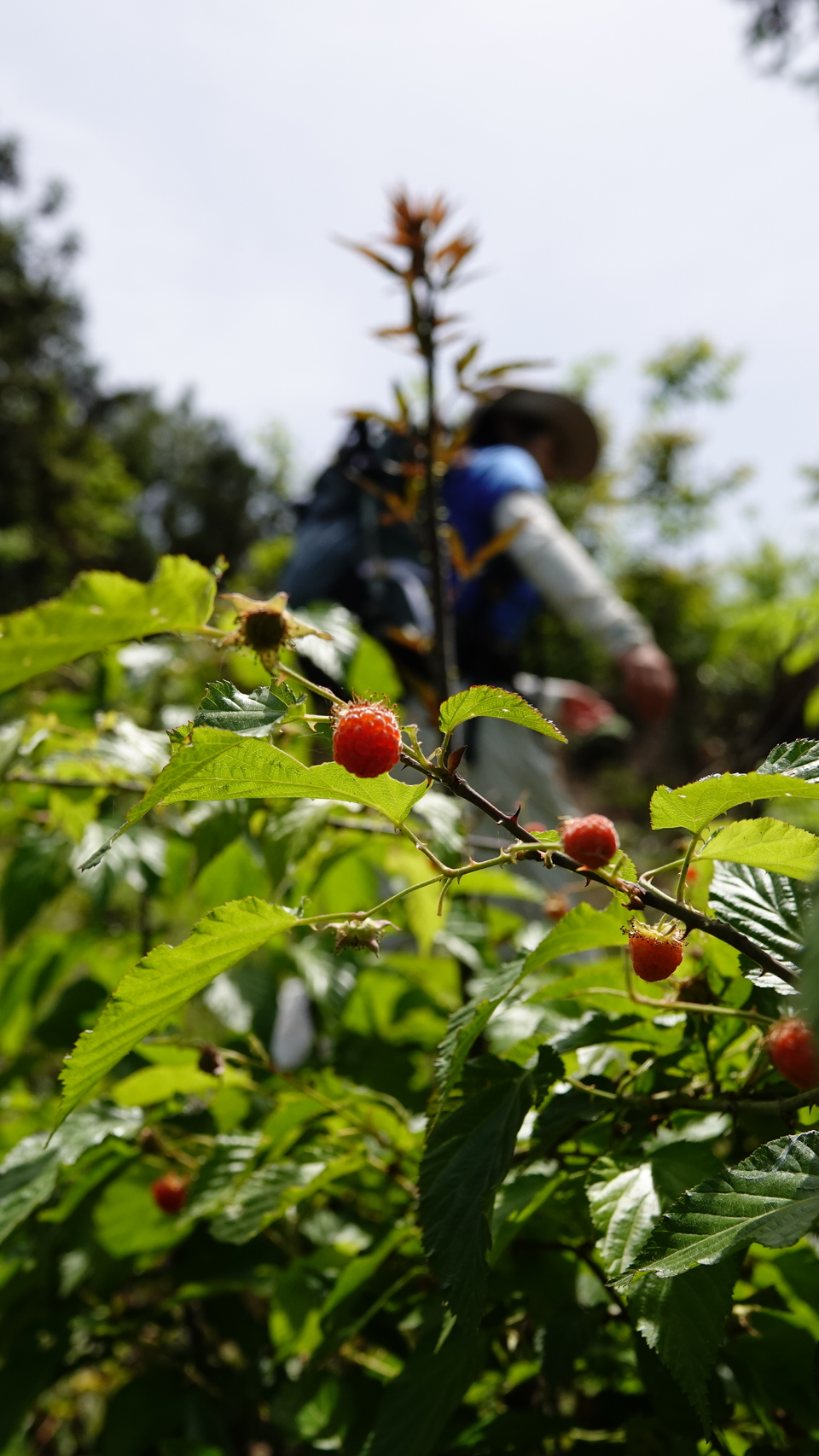微信图片_20250506175925