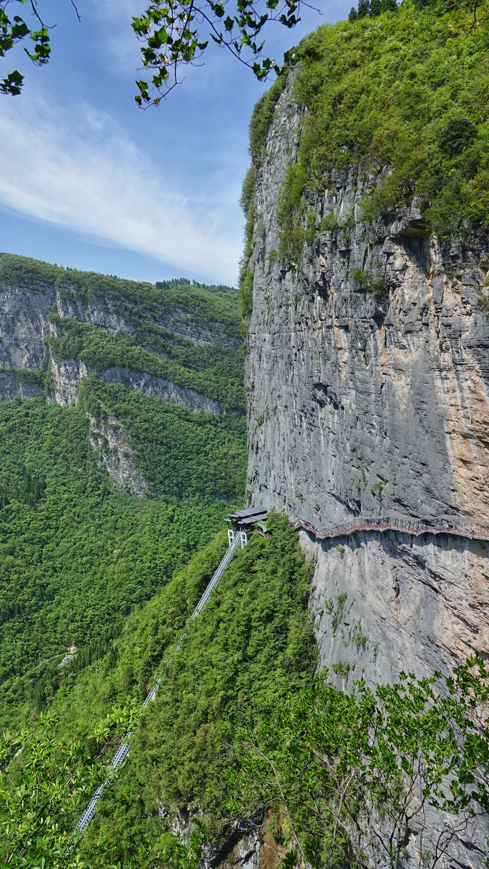 微信图片_20250506175949