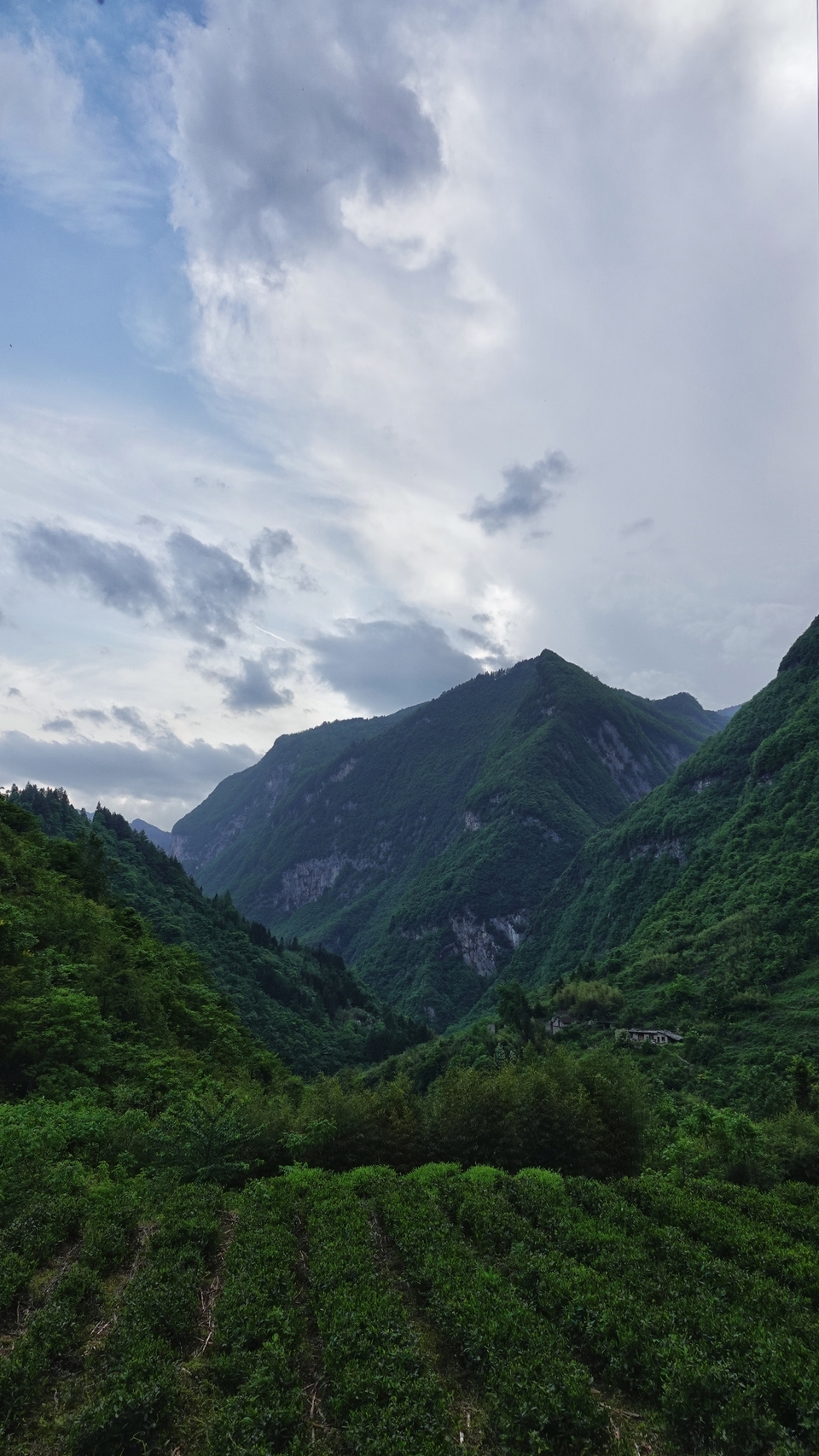 微信图片_20250506175954